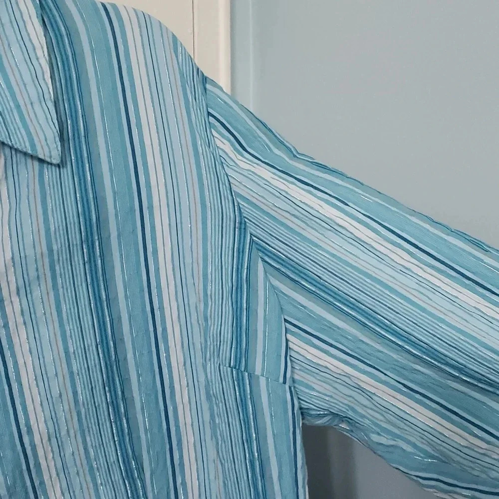 JM Collection Blue Button Down - Picture 7 of 13